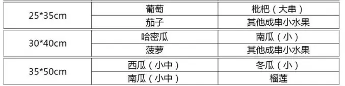 蚊虫.png