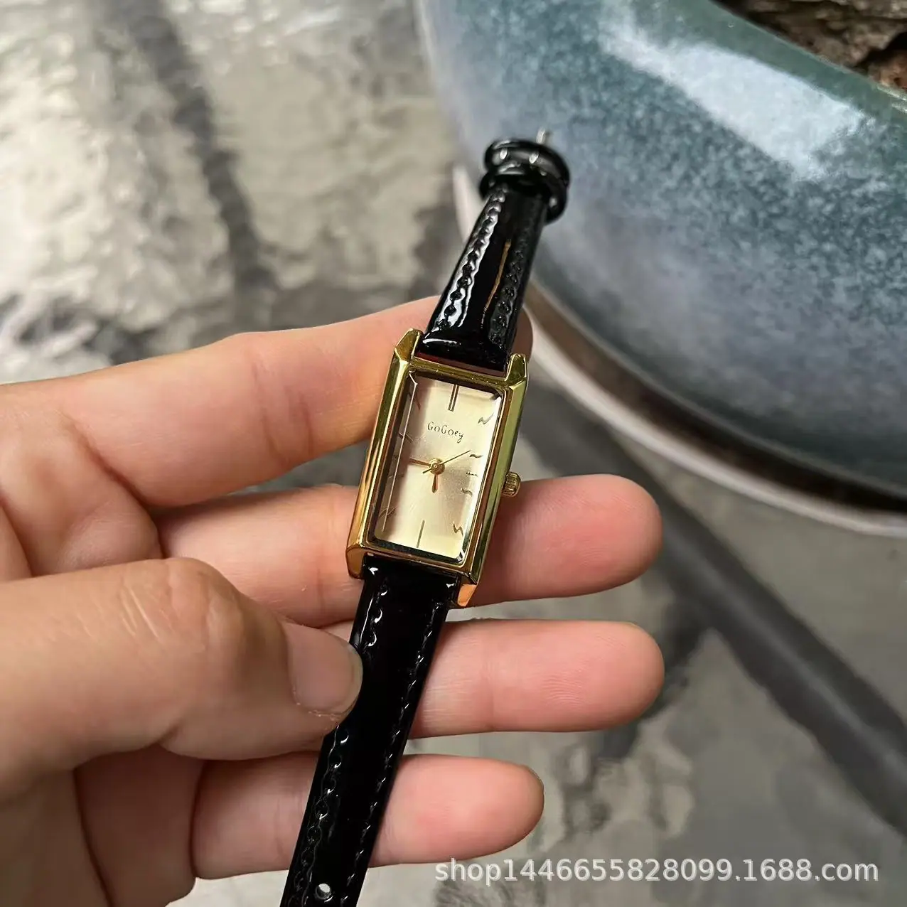 金盘黑带