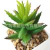 Suculenta Artificial Cabeça de Flor de Suculenta Artificial Bonsai Artificial Acessórios DIY Fabricante Conjunto de Cabeças de Flor de Suculenta Cor Personalizada