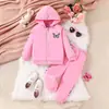 Traje de Primavera y Otoño para Niñas Sudadera con Capucha y Cremallera de Algodón con Mariposa Estilizada Pantalones Conjunto de Dos Piezas Moda Europea y Americana Traje Infantil