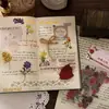 Adesivos de plantas e flores PET para journaling, materiais decorativos para cenários DIY feitos à mão, adesivos de journaling transparentes autoadesivos