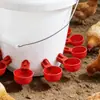 Avicultura Bebedero Automático para Pollos Patos Gansos Comedero Nueva Modelo Bebedero para Pollos Tazón de Plástico para Beber