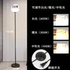 Luminária de chão estilo nórdico com controle remoto, adequada para salas de estar, design minimalista e moderno, recursos inteligentes, ideal para quartos, luminária de mesa de cabeceira de luxo leve, design criativo