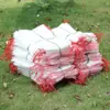 Bolsa de Red a Prueba de Insectos de Nylon para Cultivo de Arroz, Bolsa para Fruta del Dragón, Uva, Melón, Tomate, Verdura, Bolsa de Gasa para Remojo de Semillas y Germinación