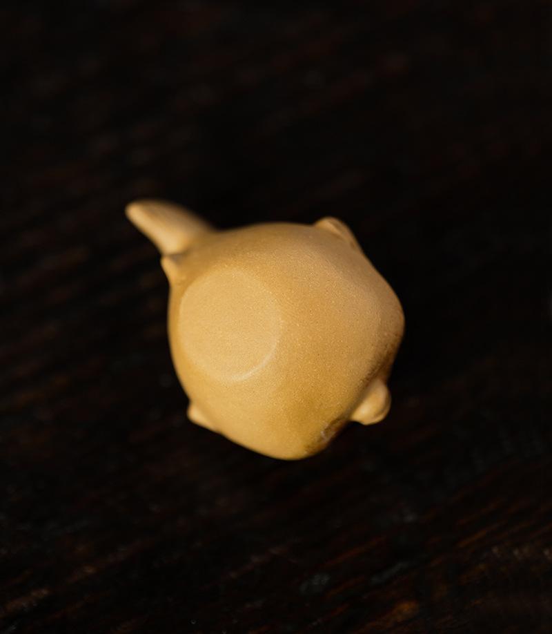 小河豚20210616 (10).jpg