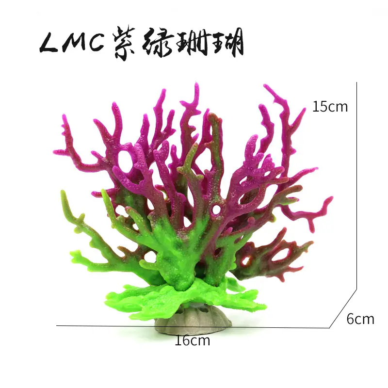 LMC紫绿珊瑚尺寸