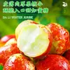 Shaanxi Dali Dátil de Invierno Fruta Fresca Dátil de Temporada Crujiente Dulce Dátil Verde Caja Completa 2.5kg Dátil Sf Opcional Dulce