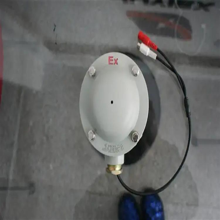 防爆防水拾音器 (6)