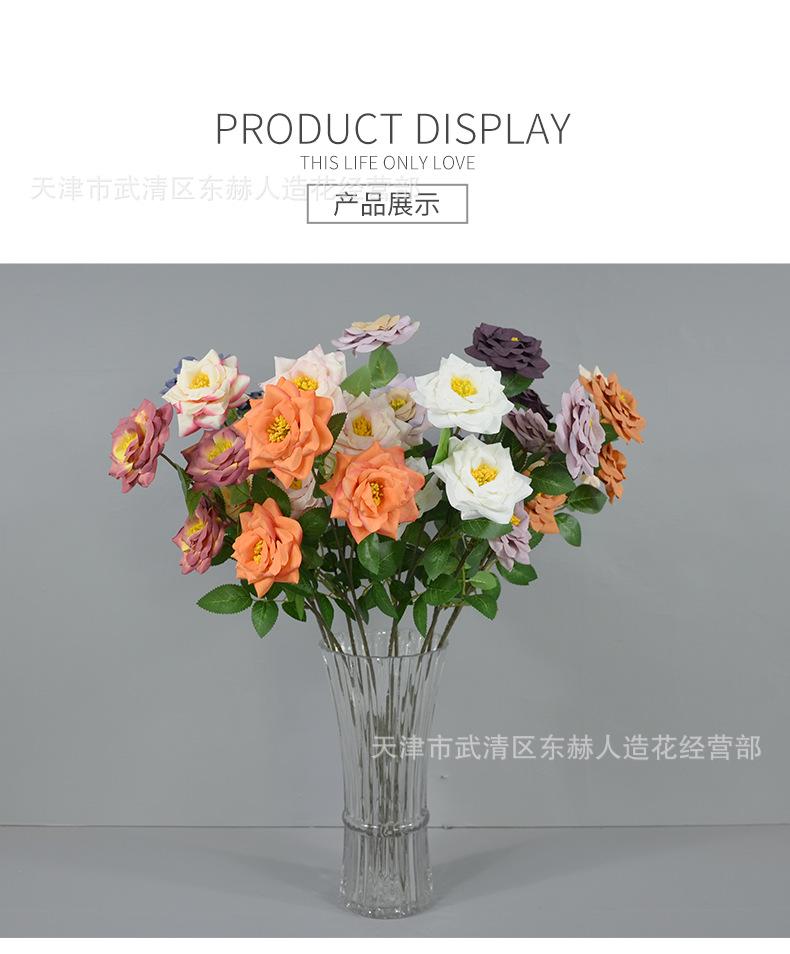 详情_11.png
