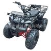ATV 125cc Motocicleta de Praia Motocicleta de Quatro Rodas Pneu 8 polegadas Tambor Dianteiro Freio a Disco Traseiro Motocicleta a Gasolina