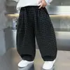 Pantalones Deportivos de Cuadros Pequeños para Niños Primavera y Otoño 2026 Otoño Nuevo Estilo Coreano Fresco Bebé Celebridad de Internet de Moda Casual de Moda