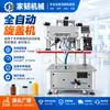Máquina Tapadora Automática Lineal de Torque Ajustable del Fabricante para Tapas de Cabezales de Bomba Cosmética y Botellas de Desinfectante Máquina Tapadora Totalmente Automática