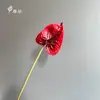 Nuevas Flores Artificiales de Eva de Alta Calidad: Anturio Rojo Pu, Anturio Verde, Anturio Rosa y Lirio de la Paz para Paisajismo y Decoración
