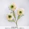 Casamento Cor Champanhe Material de Flor Sintética Pendurado no Teto Decoração de Hotel Caminho de Casamento Guia de Fundo Arranjo de Flores Fabricante Atacado