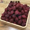 Equipamento de Secagem de Amora-Vermelha Grande, Sala de Secagem de Frutas Amora-Vermelha com Energia do Ar, Máquina de Secagem de Amora-Vermelha
