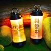 38 Luces de Camping Recargables por USB Luces de Tienda de Campaña de Larga Duración Iluminación de Ambiente para Camping al Aire Libre Luces LED Compactas Portátiles