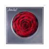 Flor Eterna Rosa 9-10cm Cabezas de Flor 214 Día de San Valentín Regalo de Navidad Hecho a Mano DIY Materias Primas al por Mayor