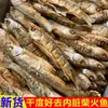 Peixe de Água Doce Seco, Especialidade de Hunan, Peixe Assado na Brasa, Peixe Feito na Fazenda Assado em Forno a Lenha, Peixe Defumado Curado, Peixe Seco (Croaker)