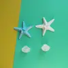 Accesorios Grandes de Resina de Concha y Estrella de Mar Imanes para Nevera DIY Decoraciones para Fundas de Teléfono Hebillas para Zapatos DIY Transfronterizo