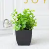 Amazon planta verde artificial para exteriores pequeña en maceta escritorio bonsái decoraciones para el hogar y la oficina accesorios para fotos plantas