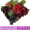 Simulación de cuerda de uva, decoración interior, planta, fruta, modelo, accesorios, simulación de plástico PVC con uva escarchada