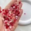 Pacote de Material para Manicure Camélia de Resina Unhas Vestíveis Feitas à Mão Presente de Aniversário Capa de Celular Transmissão ao Vivo Caseira Coração Misto
