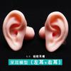 Modelo de Oreja de Silicona Oreja Artificial Realista Recogida de Oreja Enseñanza Silicona Suave Conducto Auditivo Largo 1:1 Oreja Falsa