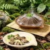 Bandeja de Hielo Seco Comercial Imitación Porcelana de Melamina, Bandeja para Albóndigas, Bol para Verduras, Bol para Fideos, Olla Caliente, Barbacoa, Específico para Restaurantes