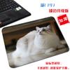 [Una generación de cabello] pequeño lindo gato tela antideslizante tapete para computadora arte estético simple borde bloqueado alfombrilla de ratón