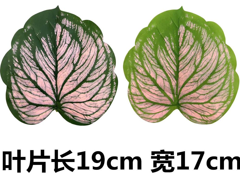 未命名_副本