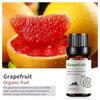 Exportación Transfronteriza Aceite Esencial Individual Fragancia Aromaterapia Masaje Aceite Esencial Sándalo Difusor Mayoreo Muestra de 10 ml