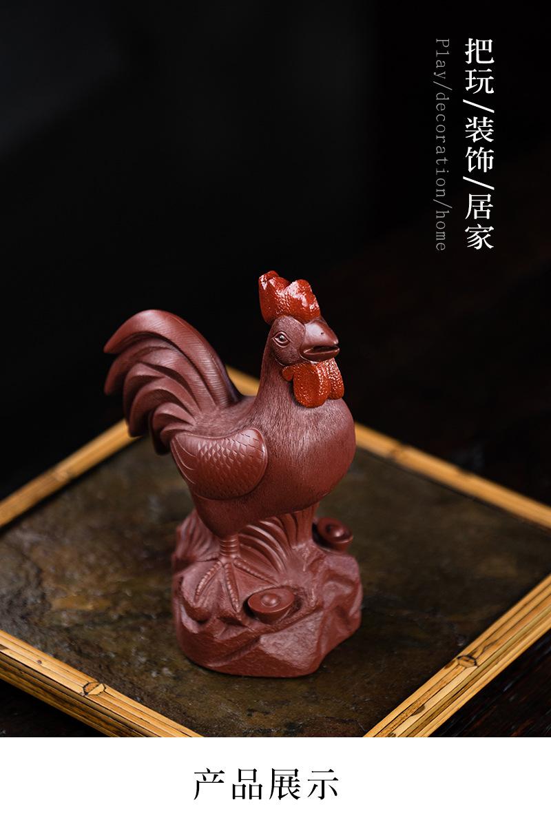 公鸡2020904 (24).jpg