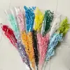 Hojas Ricas al por Mayor, Flores Inmortales, Flores Secas, Arreglos de Boda, Decoración del Hogar, Arreglos Florales, Paquetes de Materiales Florales para DIY, Flores Inmortales Transfronterizas