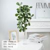 Simulación de Película Planta Verde Hoja de Elemento Único Hoja Campana Simulación Hoja Única Decoración para el Hogar Flor Falsa Accesorios de Fotografía Paisaje