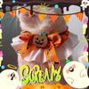 Collar de decoración de calabaza de Halloween para mascotas, original, para gatos, perros, festivales fantasmas, bufanda, joyería, toalla resbaladiza