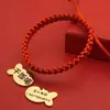 Collar de Gato, Collar Grabado de Gato y Perro, Etiqueta Anti-Pérdida para Perros, Cuerda Roja de la Suerte, Decoración para Mascotas, Collar de Año Nuevo
