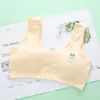 Colete para período de desenvolvimento de meninas, algodão puro, colete de dupla camada para período de desenvolvimento, roupa íntima, camisola para alunos do ensino fundamental, primeira fase