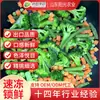 Paquete de 1 Tonelada de Verduras Mixtas Congeladas Rápidas, Brócoli, Judías Verdes, Zanahorias, Verduras Mixtas Frescas Variadas de Fábrica de Origen