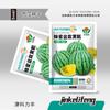 Fabricante Fonte Atacado Sementes de Hortaliças para Primavera, Verão e Outono, Melões e Frutas, Sementes, Sementes de Colza e Hortaliças