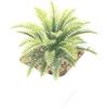 Suculenta Artificial Cabeça de Flor de Suculenta Artificial Bonsai Artificial Acessórios DIY Fabricante Conjunto de Cabeças de Flor de Suculenta Cor Personalizada