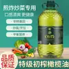Azeite de Oliva Virgem Extra Óleo Comestível Adicionado Óleo Vegetal Prensado Misturado Fragrância Cozinha Barril Grande Óleo Vegetal Doméstico