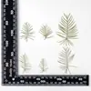Hoja de iris flor real flor prensada en relieve planta de enseñanza para niños espécimen material material pegamento de gota flor seca carcasa de teléfono móvil DIY