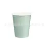 Nueva Decoración de Fiesta de Encaje Verde Claro Monocromática Vajilla Desechable Bandeja de Papel de Color Sólido Simple Taza de Papel Suministros de Servilletas