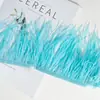 Tiras de Tecido Decorativas com Penas DIY, Franjas, Acabamento com Penas de Avestruz, Bordas de Saias para Vestidos de Dança, Acessórios para Roupas, Renda