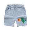 Pantalones cortos de verano para niños de estilo coreano nuevo, pantalones de dinosaurio de dibujos animados con flores óxido, pantalones cortos para niños de una pieza, envío directo, ropa para niños al por mayor