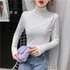 Camiseta Básica de Terciopelo Doble Cara para Mujer 2025 Otoño e Invierno Nueva Versátil de Cuello Alto Medio con Forro Polar de Manga Larga Camiseta Interior