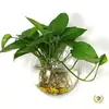 Maceta Hidropónica de Pared Acrílica para Plantas Verdes y Flores Botella Tanque de Peces Montado en Pared Decoración de Pared para Restaurante y Pared de Fondo de Sala de Estar