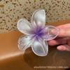 Explosiones de Espejo Cruzado Europeas y Americanas Pinza de Flor de Huevo de Color Tridimensional Anti-Falso Pinza Grande para la Parte Posterior de la Cabeza Accesorios para el Cabello para Mujer Tocado