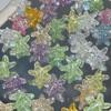 Estrella de Mar de Verano Aurora Color Mixto Material Decorativo DIY con Agujeros Cadena para Teléfono Móvil Hecha a Mano Horquilla Gumei Baji