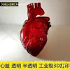 Impresión 3D Modelo de Corazón de Cristal Transparente Aurícula Izquierda Corazón Derecho Hígado Riñón Estómago Útero